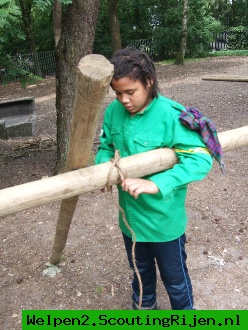 Pionieren - Foto 1 van 16
