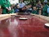 Scouts2Day