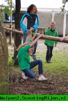 Overvliegen - Foto 33 van 106